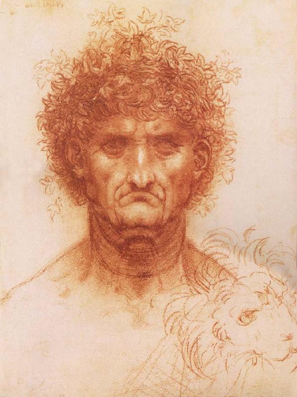 LEONARDO da Vinci Buste one frontal to seeing man and head of a Lowen oil painting image